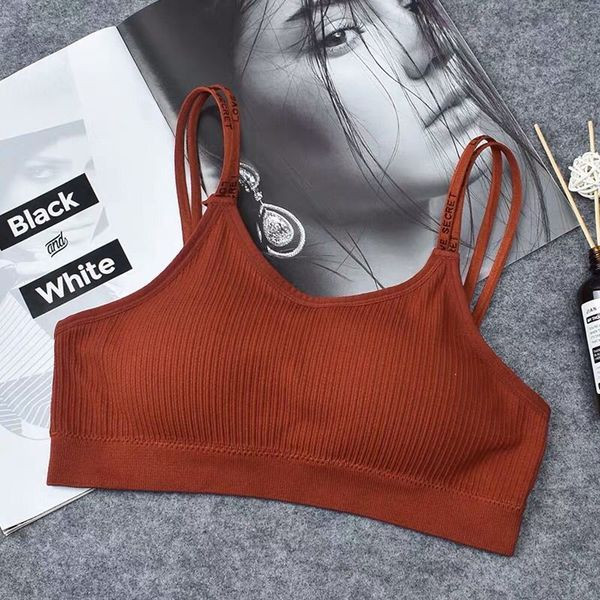 Summer Bra Summer Underwear For Elementary School Students